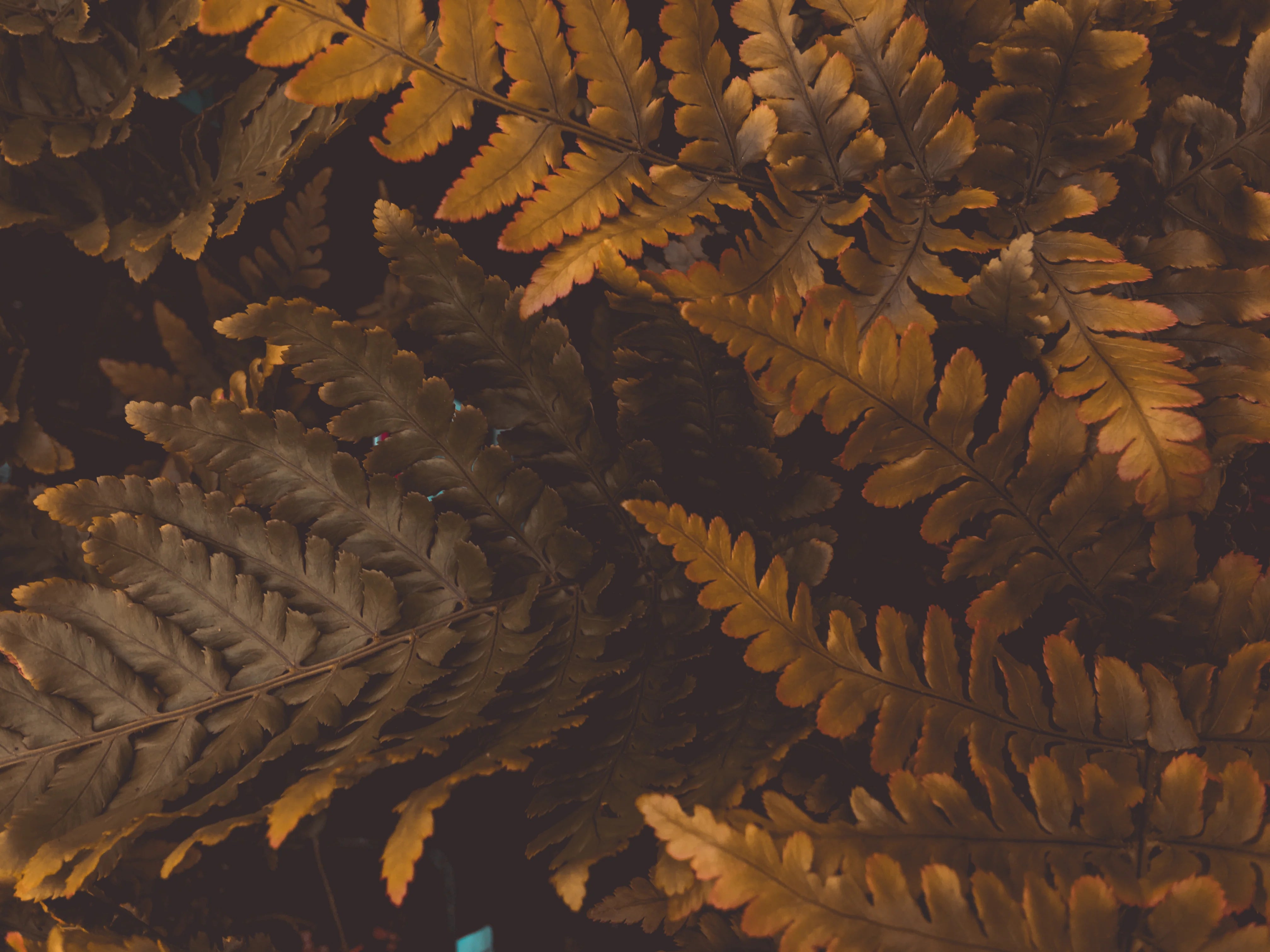 blog-1