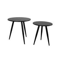 Bijzettafel Daven Zwart (set van 2) Jacob Jenzens
