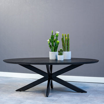 Mangohouten Salontafel Zwart Ovaal