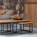 Mangohouten Salontafel set van 3